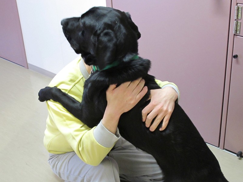 刑務所の中で、盲導犬候補の子犬を育てるパピープログラム