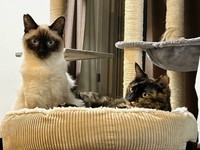 FIPが判明する前の仲良しツーショット