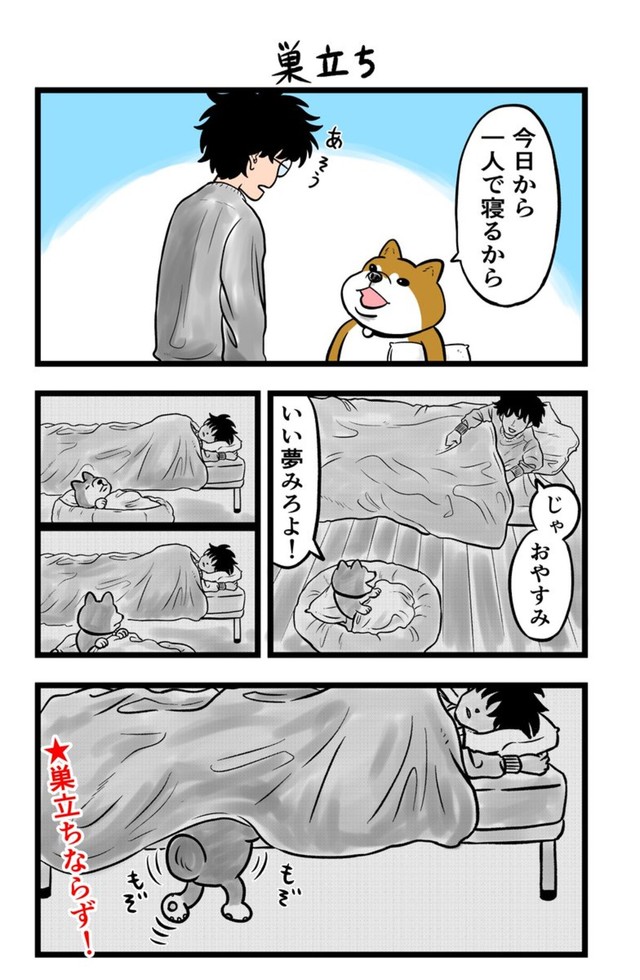 【漫画】『ケンちゃんおしゃべり犬の物語』18（夢窓かずみさん提供）