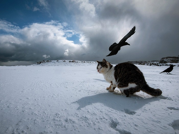 吹雪が去り、ぽっかりと青空が顔を出す。まさに恵みの太陽。次の雪雲がまた迫ってくる