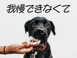 我慢できなくて