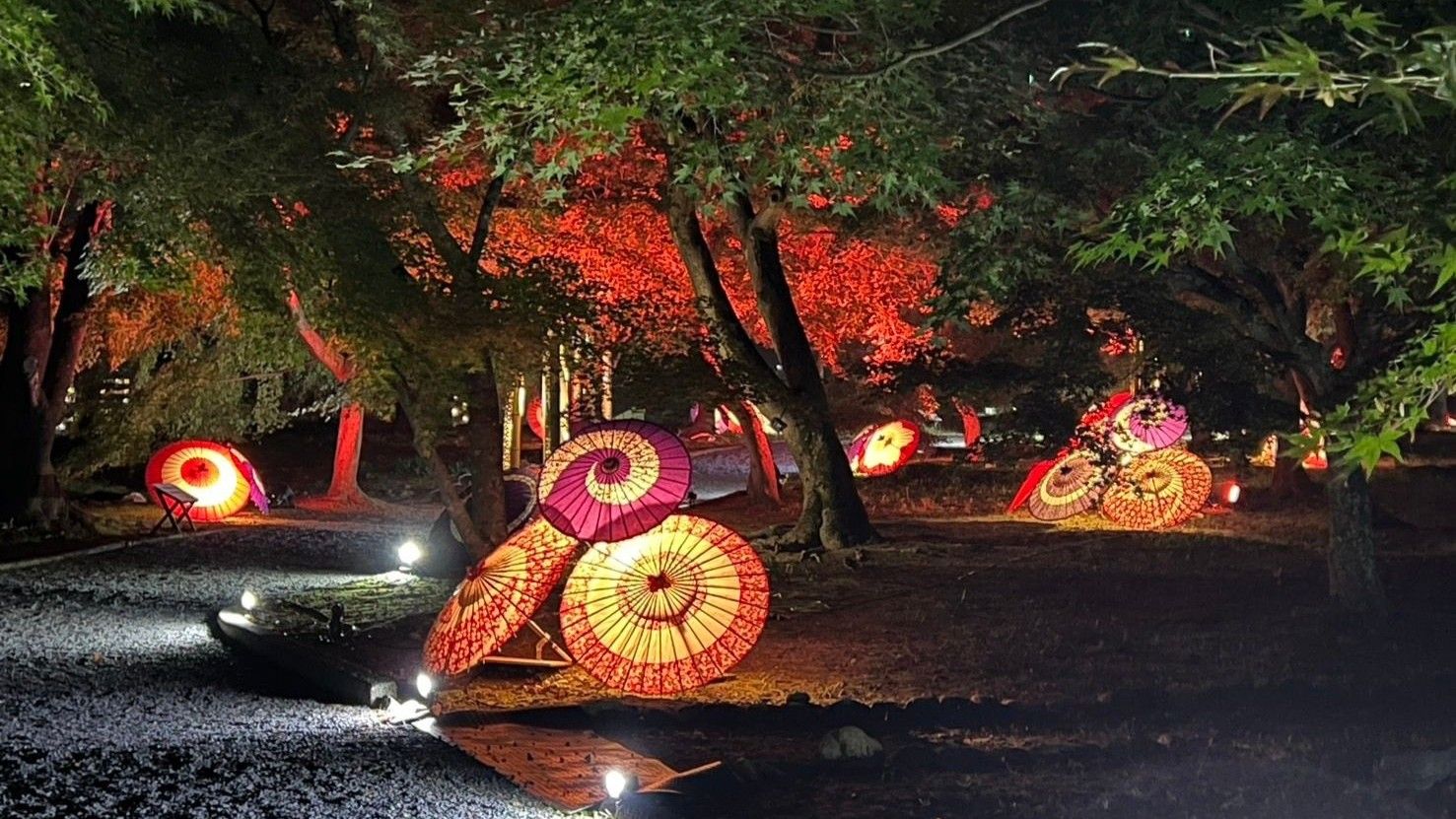 秋を楽しむ「津山城もみじまつり」 15日から開催 | KSBニュース | KSB