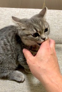 ツンデレひまりちゃん。怒り気味