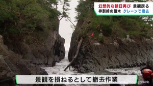 岩の間から日の出の景勝地　宮城・神割崎の倒木を撤去　絶景の時期に間に合う