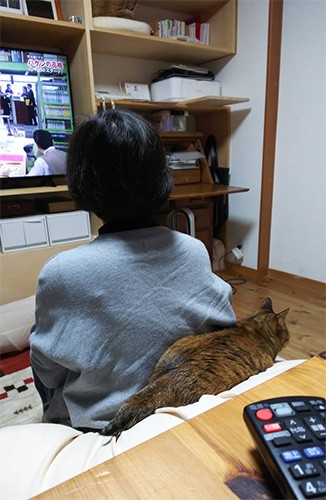 由美さんは「いつか子どもが自立して部屋が空き、もし声がかかるような時は…預かりを考えたい」という（由美さん提供）