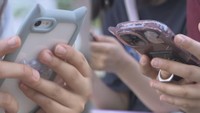 小4以上の所持率6割超…“スマホ低年齢化”で保護者から不安の声「トラブル心配」「遅い方がいい」　岡山県教委が調査