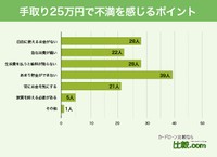 手取り25万円で不満を感じるポイント（提供画像）