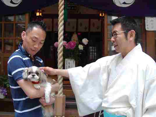 神社にペットＯＫ、広がる　「けがれ」への意識変化