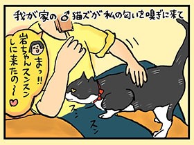 謎のクチャクチャ　獣医の考察に衝撃　やっぱ、猫じゃけぇ(53)