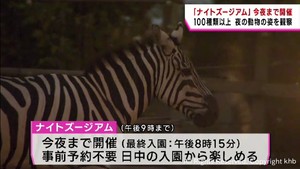 夜の動物の姿を観察　仙台・八木山動物公園「ナイトズージアム」　１００種以上の動物を展示