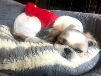 お客様がいないときはリラックス