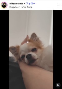 村田充のインスタグラム@mitsumurataより