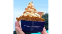 硬×柔が絶妙コラボ　瓦せんべいをトッピングしたソフトクリーム　津田の松原SAで11日発売　香川・さぬき市