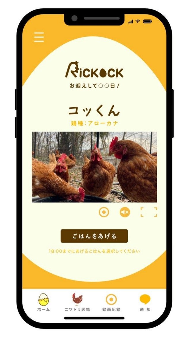 「Ｒｉｃｋｏｃｋ」のアプリ画面のイメージ