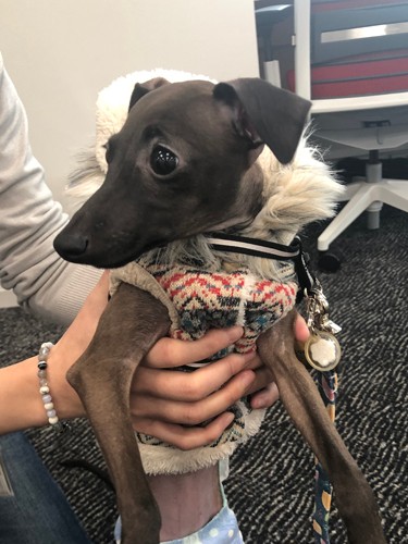 オフィスに来たルイーズ　（提供写真）