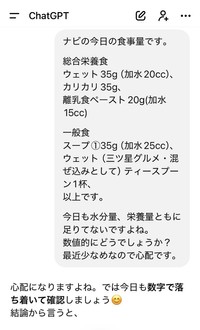実際にChatGPTに送っている相談文