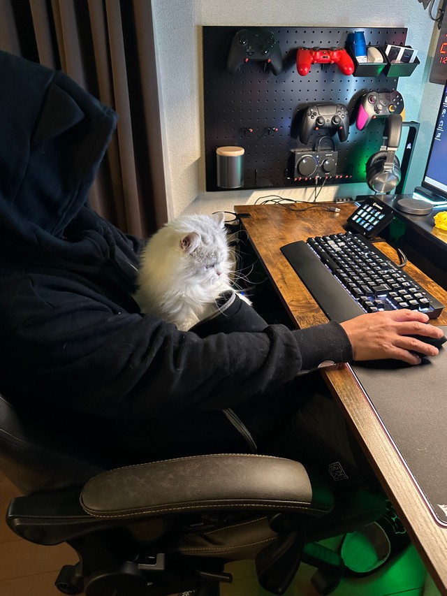 ノーマンくんはポケットからすぐ出ちゃいました（提供写真）