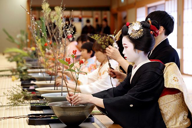 800 students attend ikebana school’s New Year’s ceremony