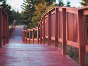 いきなり一人暮らしをする勇気がない。だから私はひとり旅をする