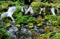 【北海道】名水百選　羊蹄のふきだし湧水（photoAC）