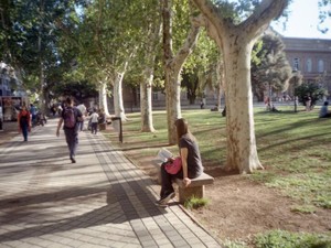 「スマホ社会」からスマホを数日間排斥した。心に静けさが戻ってきた