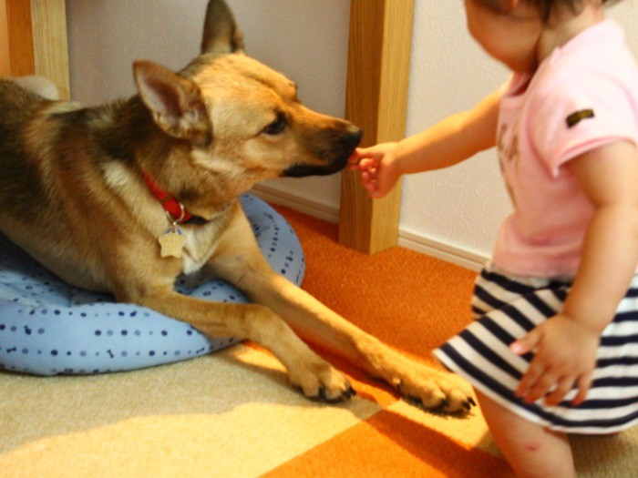 おやつをください