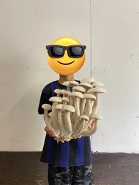 これが驚異的な大きさで話題のニオウシメジ（渡辺海さん提供）