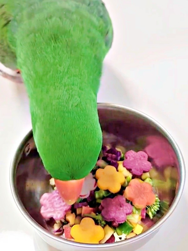 もう一度、型抜き野菜を確認するオオハナさん（画像提供：ゴンさん）