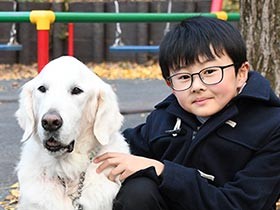 ファシリティードッグがいてくれたら　小５、実体験から普及活動