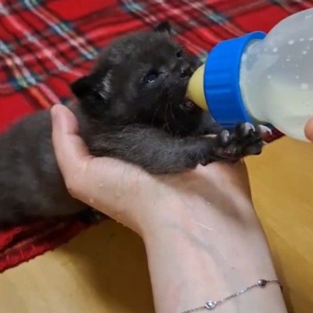 生きてほしいと願いながらの授乳