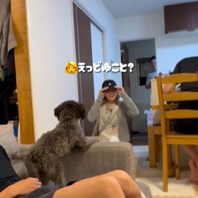 アムが家にいる現状をなかなか理解できない／阪田さん（@ten_kun.s）提供