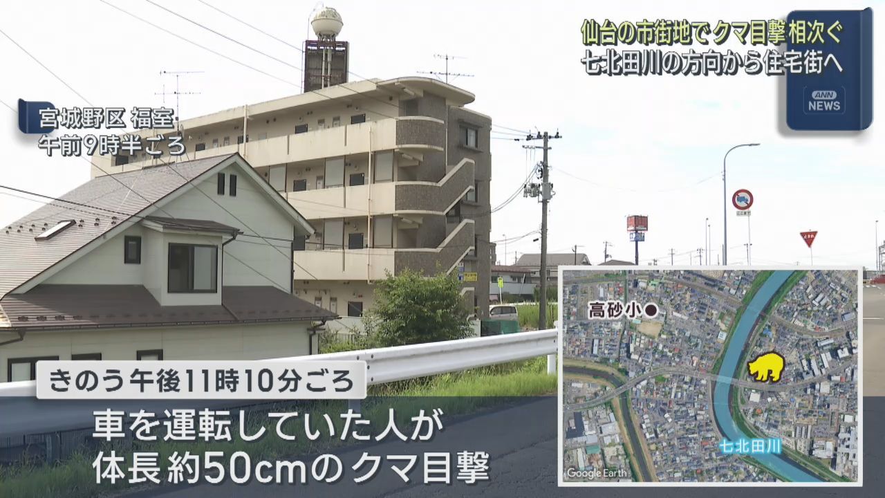 仙台市の市街地でクマの目撃が相次ぐ　宮城野区と青葉区