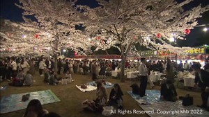 桜が満開の仙台・西公園　新型コロナ感染対策をしながら多くの人たちが夜桜見物