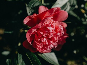 「怒る」って必要？話し合いで解決できないことは、きっとない