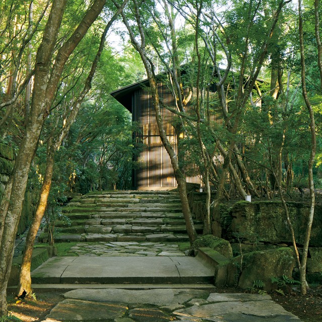 写真・図版