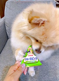 おいしかったおやつを買ってもらい、大喜びしたぱっちゃん（画像提供：ぱっちゃんさん）