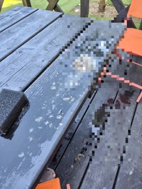 デッキに置いていたテーブルの上には吐瀉物を放置。室内用のスリッパやタオルも泥だらけだったそうです。（直人【コンシェルジェ民泊】X　@mosva_0　より）