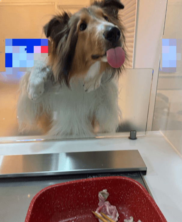 正面からの様子 美味しそう！？ 画像提供：飼い主