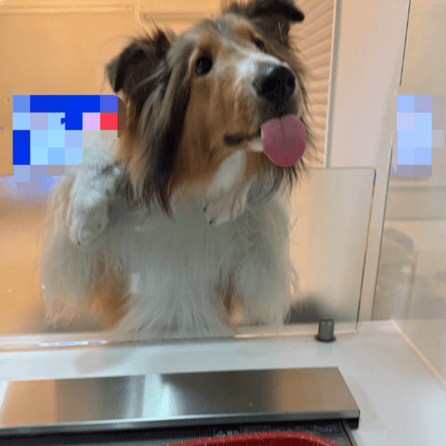 正面からの様子 美味しそう！？ 画像提供：飼い主