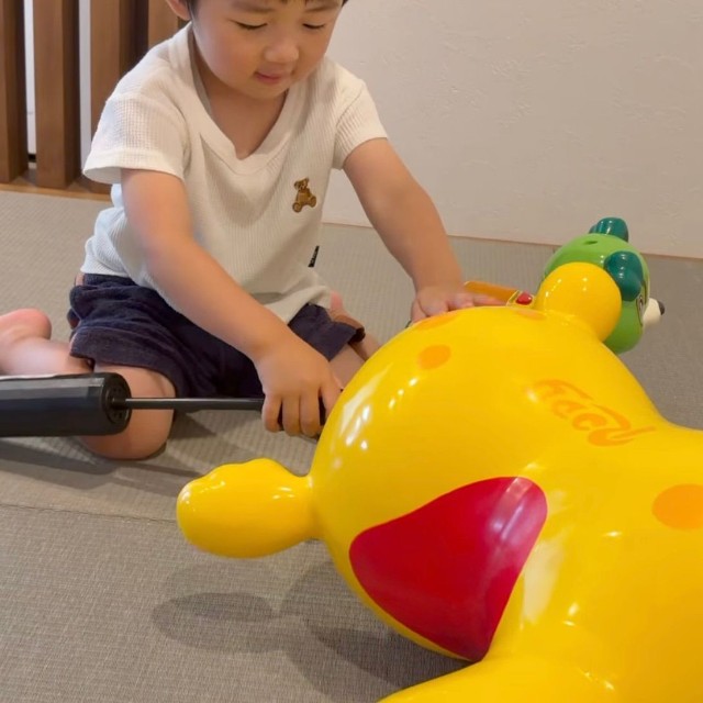 おもちゃで遊ぶはんとくん（提供：@han10_tennisさん）
