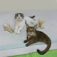 ウィルくんと。兄妹のようで可愛い