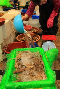 活きたタコなど海鮮も。