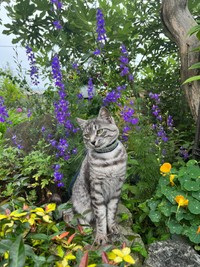 お花がよく似合う＝sachie717さん提供