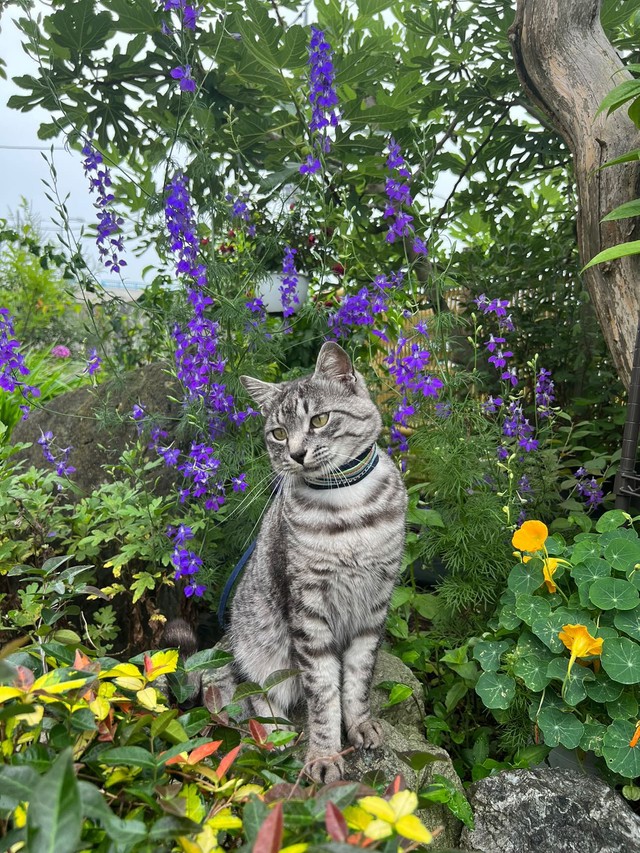 お花がよく似合う＝sachie717さん提供