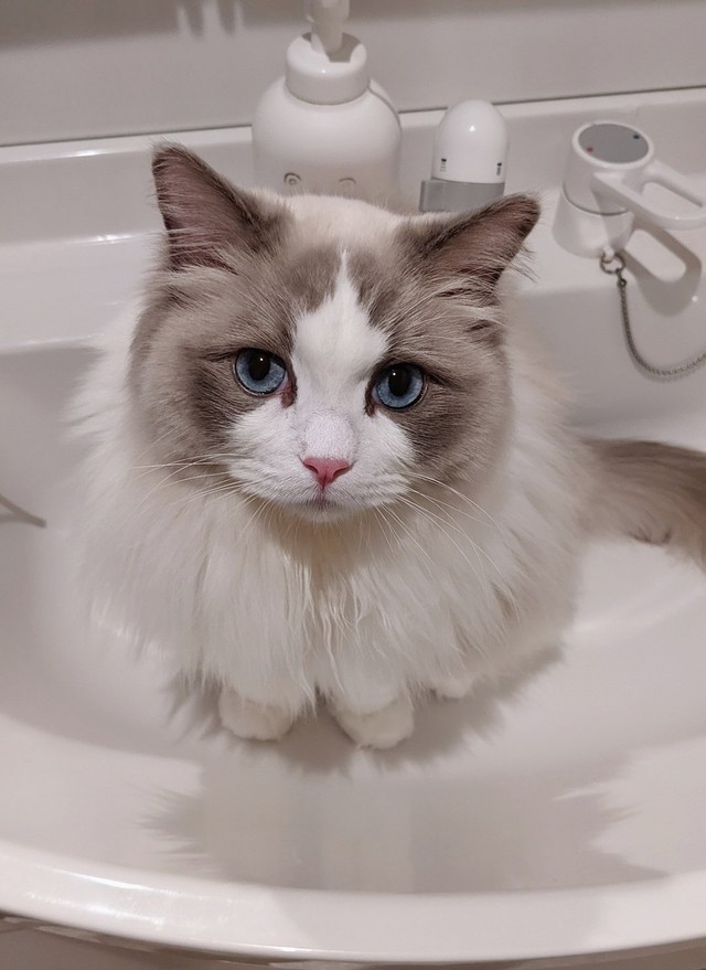 そんなところで、なにしてるの、、、？