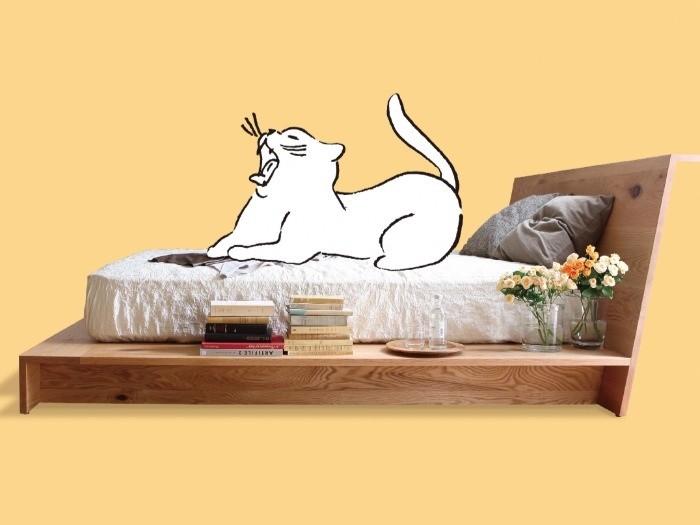 ヒラシマ「カラメッラ ベッド」要望に応じ販売を検討　（大川市提供）