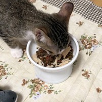 もりもり食べて、すくすく育っている