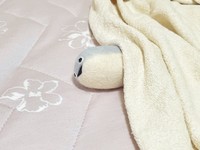 布団で眠るサカバンバスピス（提供：みおっぺさん）