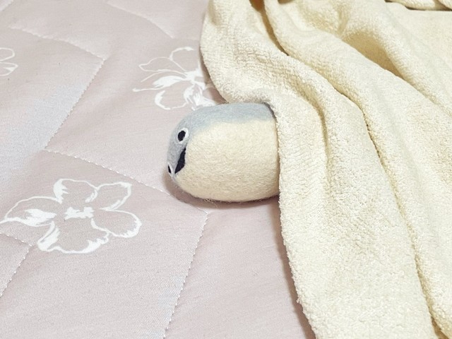 布団で眠るサカバンバスピス（提供：みおっぺさん）