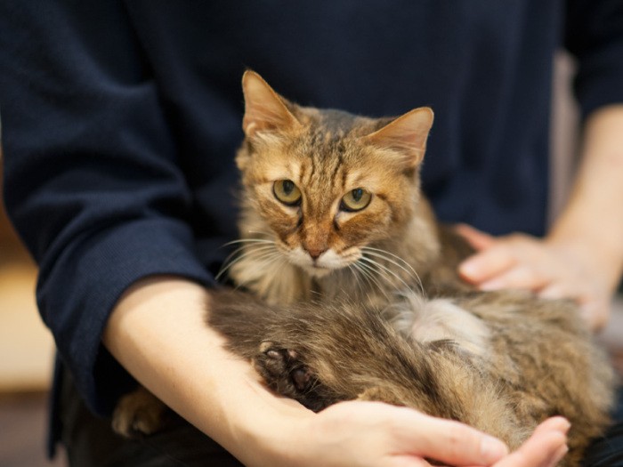 「私は姪よ。すあまさんの姪じゃなくて名前が姪なの。よろしくね」（小林写函撮影）